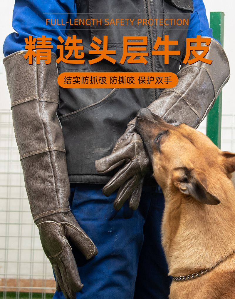头层牛_06.jpg