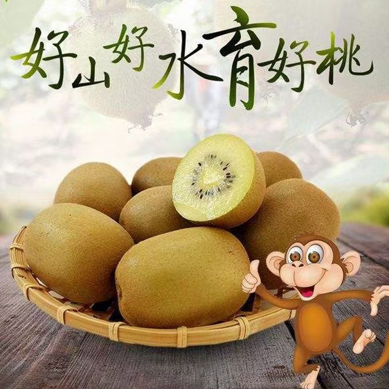猕猴桃绿心徐香猕猴桃5斤大果奇异果产地直发新鲜水果一件代发