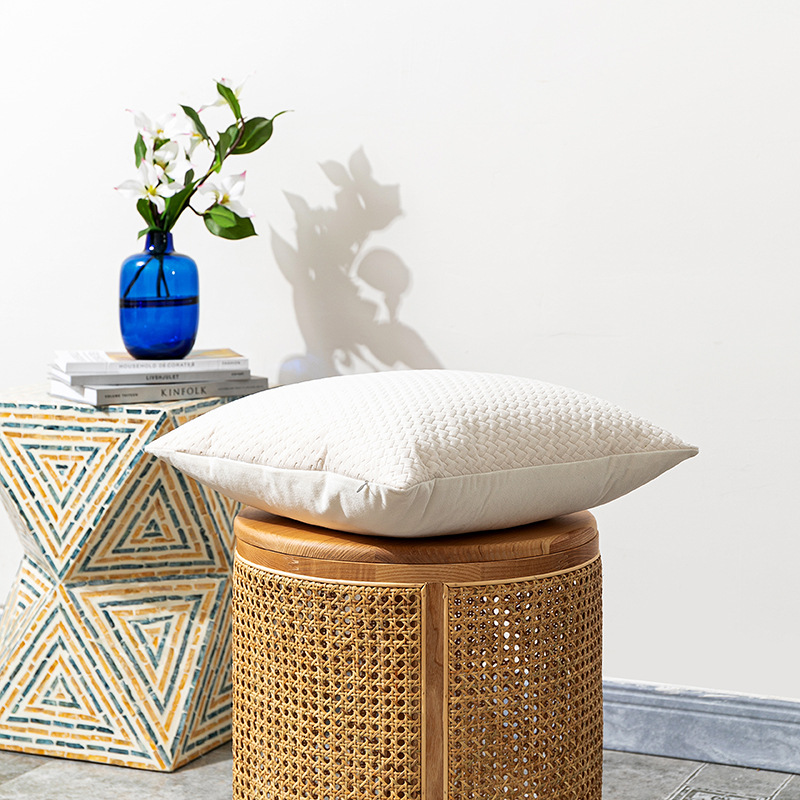 New Nordic Simple Dutch Velvet Three-Dimensional Embossed Twill Large Pillow Cushion Sofa Waist Pillowcase_voghion.com