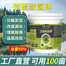 50%过硫酸氢钾复合盐改底片水产养殖专用水处理多种含量厂家直发