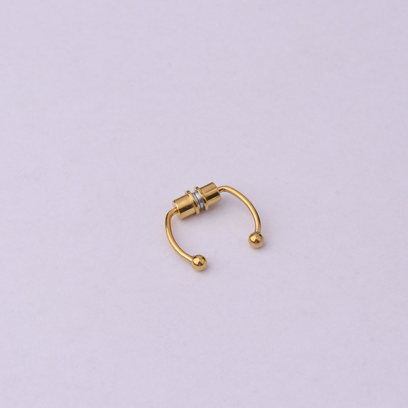 Nose Rings & Studs Fashion Geometric 316 Stainless Steel  Plating display picture 5