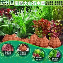 ˮ��ֲ����~���쾰�[��ˮ��ֲ�����������ɽʯȫ��С�~��ˮ��