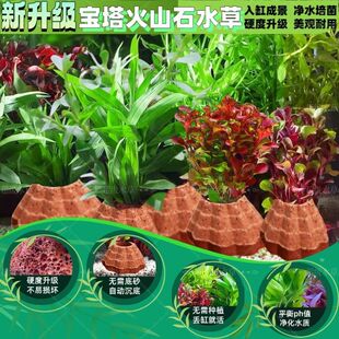 ˮ��ֲ����~���쾰�[��ˮ��ֲ�����������ɽʯȫ��С�~��ˮ��