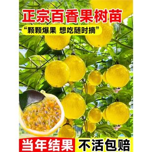 �ش��������S����������޽���J��9̖����Y���Ϸ��Nֲ����