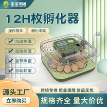 WONEGG12枚小鸡孵化机益智孵化器蛋孵化设备带照蛋水瓶全透上盖