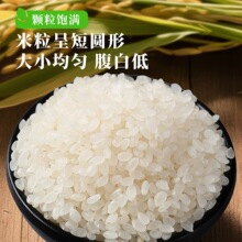 �|�������׈A�����¾����w��M��ܛŴ�|�����׃��|������հ��b