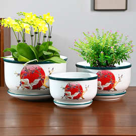 2025新款花盆陶瓷家用白色简约客厅蝴蝶兰专用轻奢高级大号口径盆