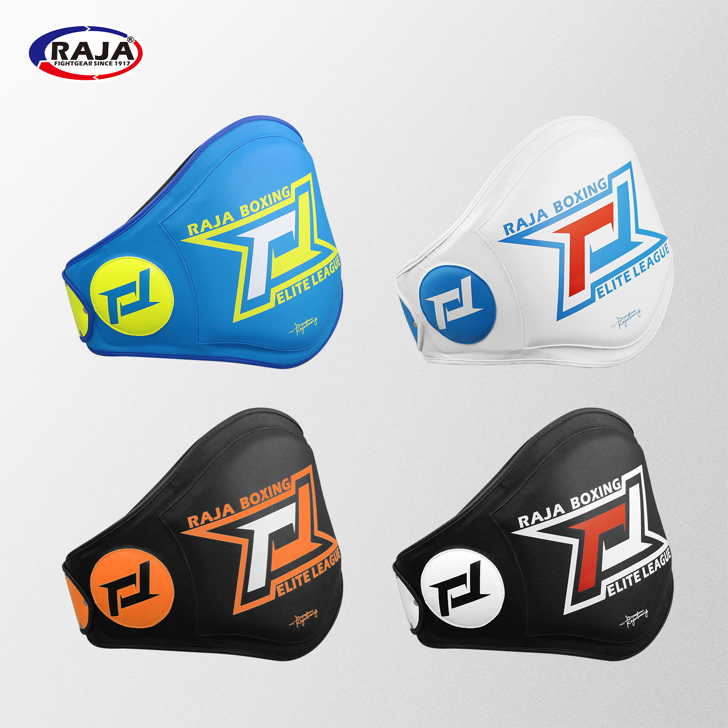 raja brand boxing fighting Muay Thai Taekwondo training protective gear waist target