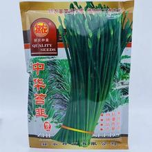 A̦ļ̦N̦²˷NѶɴﶬϱNֲ