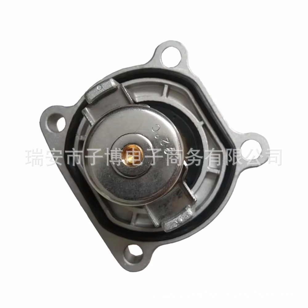 55559595 71739765 24435102 6338050 Thermostat