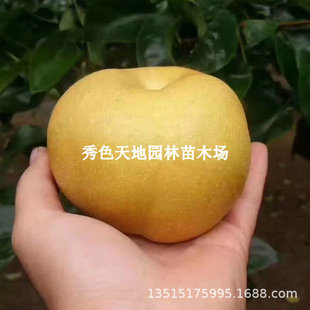 ������޽���������Sˮ��ɳ��Xɽ�����Ե��Ԯ���Y������m