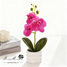 �ٻ��ָк����mС�辰���滨�Ҿ��b[���zӰ�������컨��������