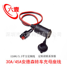 ܇���d�c����ĸ���D30A/45A����ɭ�Դ��3.3ƽ�������Դ��늾�
