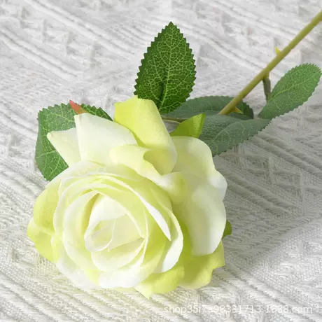 Velvet Corner Rose (Green)
