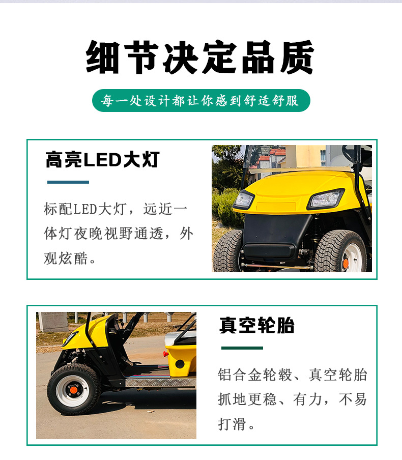 2-Seat Electric Golf Cart Scenic Tourist Sightseeing Car Food Delivery Car Electric Golf Cart