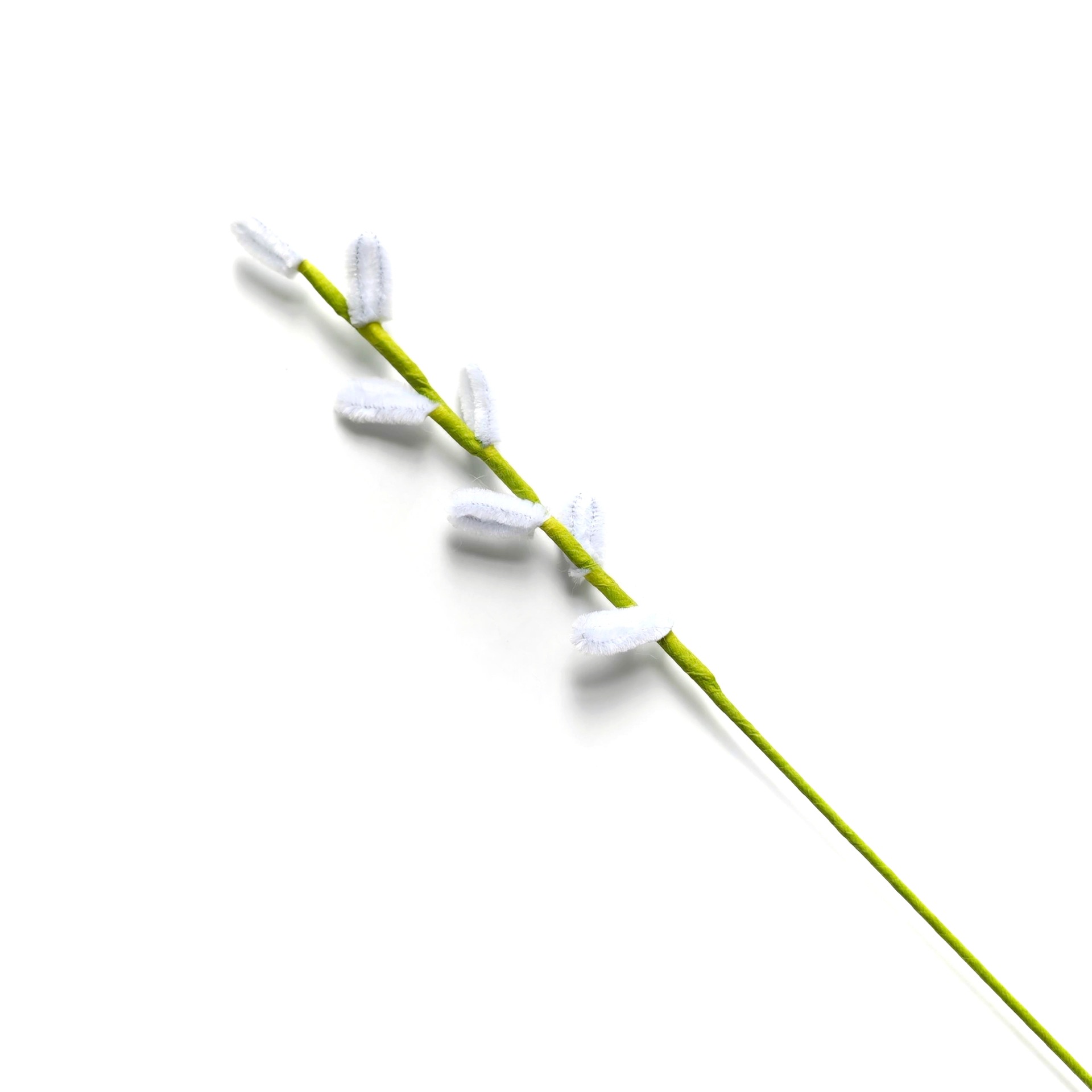 은버드나무【순백색】