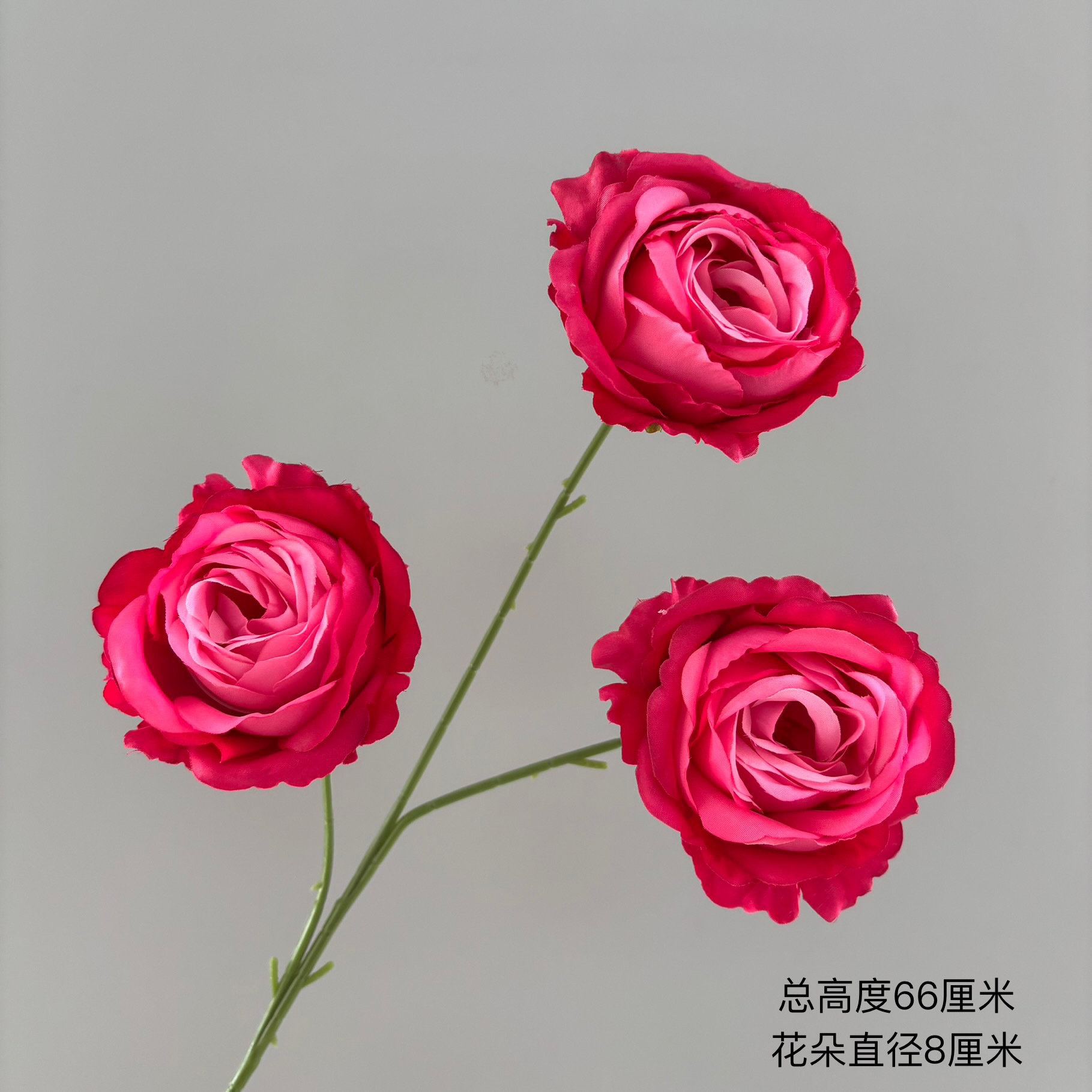 진주 장미 3송이