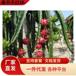 �t�Ļ������������S�����ͥԺ�̨�Ϸ������Nֲ�����箔��Y��