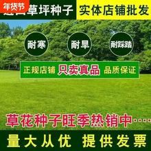 ��ƺ�����ļ�����ͥԺ������̺���o�¹������R�����G�������ݷN��