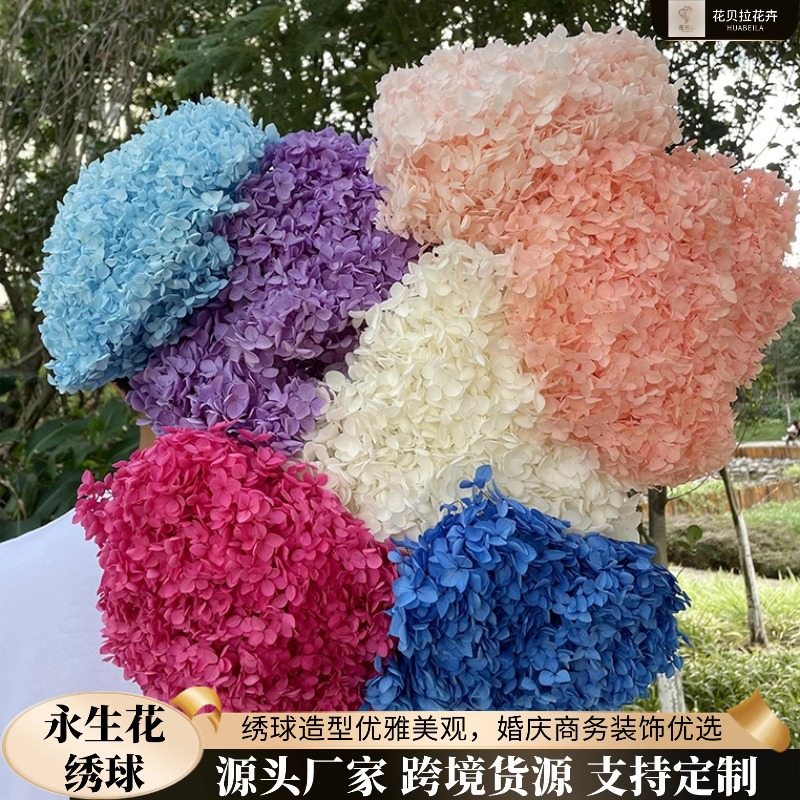 Yunnan Anna Hydrangea Flower Wholesale DIY Flower Preservation Flower Materiales de Regalo de Navidad