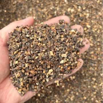 批发优质桂枝小桂枝