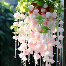 ���羳��؛�����z���Ļ��N������x�ذ�����ֲ���׻��ļ����N�_��