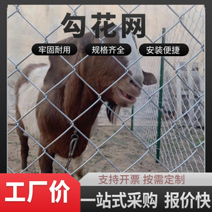 Chengdu Manufacturer Chain Link Fence Galvanized Wire Mesh Breeding Orchard Net River Enclosure Fence Isolation Fence Direct Sales