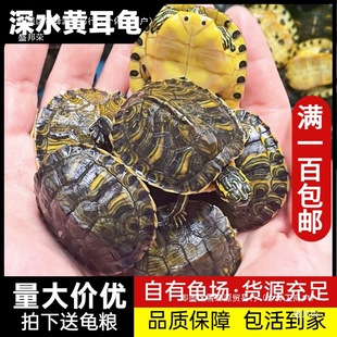 �Bֳ��ֱ�l��ˮ�S�������B�^�p������С���������~�׻��B�ԼS����