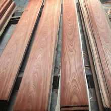 �t̴�Ƽ�ľƤ ������֦ľ��� �Ƽ�ľ�t��֦���ɠ��� ��֦�o����