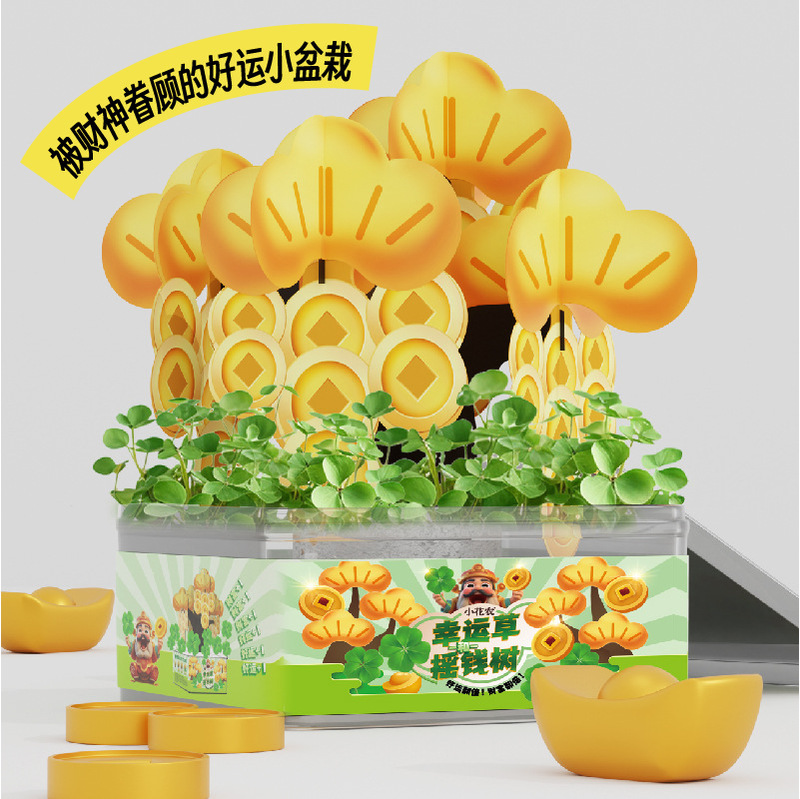 Lucky grass money tree a generation of desktop plants net red planting cup lucky grass and money tree planting cup