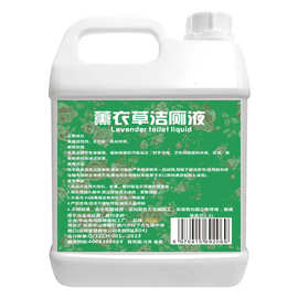 薰衣草洁厕液卫生间马桶瓷砖去黄去垢清洁持久清香浓缩款草酸