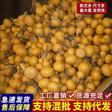 ���l������؛���J������Ȼͨ؛�[���ְѼ�����С�������J�������J