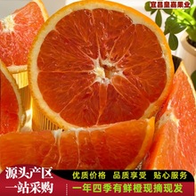 �a��ֱ�l���A�t�Ȯ���ˮ�������֭���r�t�����Ѫ�����^����ُ