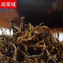 Ŵ��t������P�c��t��ɢ�b���l2026���ؼ���ѿ�Ř�t��S��ֱ�N