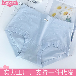 �����ѝŮĪ�������H�w͸������15390����15391ʯīϩ�־�����ѝ