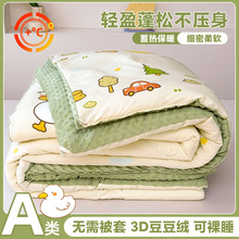 秋冬季水洗棉A类双层纱3D豆豆绒大豆被学生宿舍单人冬被被芯批发