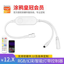 涂鸦rgb幻彩灯带控制器智能语音感应流水双色温wifi蓝牙led调光器