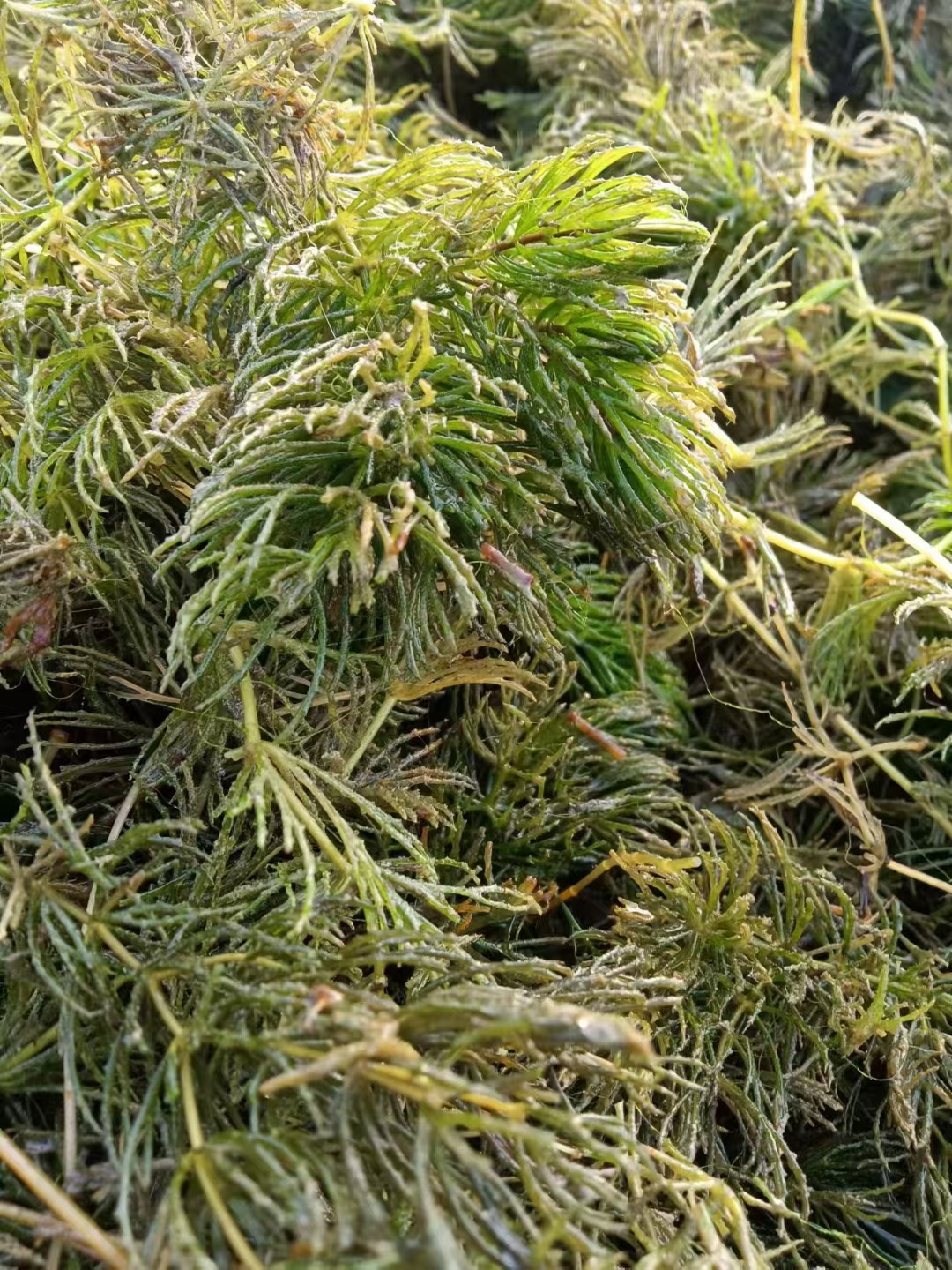 微信图片_20250406114634