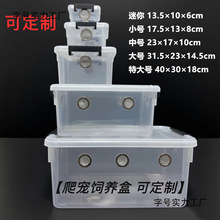 ������B�� ��D�،m֩��������ݽ���ϐ�Ӹ����͸����B��