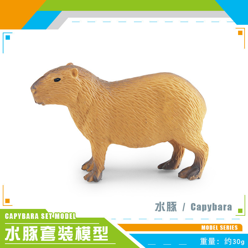 Simulación transfronteriza de animales forestales modelo de delfín de agua cognitivo infantil delfín de agua decoración de plástico estático juguete de decoración de mesa