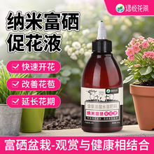 {׸ٻҺϼֲ_ԾGֲmdӻ