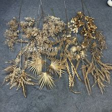 ��ɫ���滨�ȼ������긣Ͱ�������}�Q����