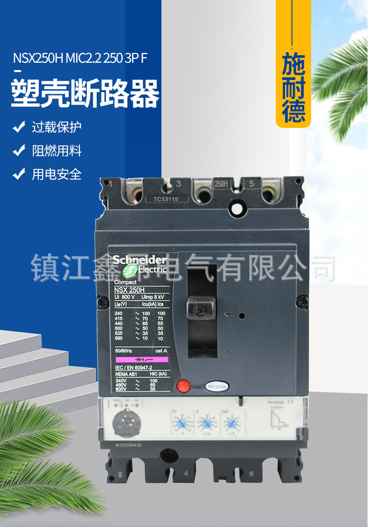 9-NSX250H-MIC2_01.jpg