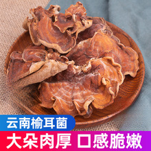 ���㹽���Ҝ��ϸɾ���ܶ���Ǿ�5gĢ�����ܶ�������خa�`֥