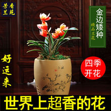 5���B�w ��߅�m���� �ļ��_�� ������ �҃Ȼ��ܾGֲ���Ժ��B