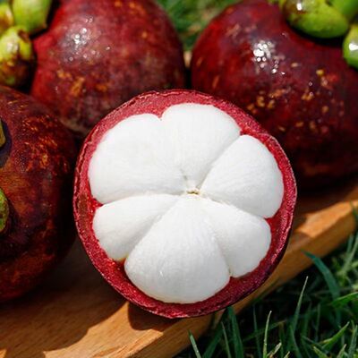 Mangosteen Shunfeng fresh Trade price Season Tropical fruit pregnant woman Oil Bamboo Ma Zhu Manufactor wholesale Cross border