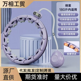 其他健身器材;健腹器;呼拉圈