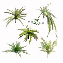 �����ɭϵͥԺ�ֲ̨������b��Ų�˹ާ�����X�~�����Ծ��b�