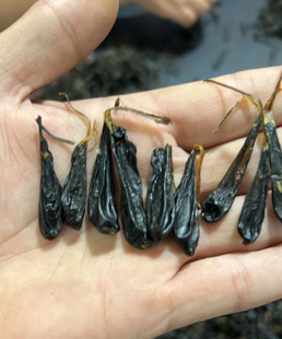 ��đ���岽��đ����ɽ���R��đ��8�����g10�����]��