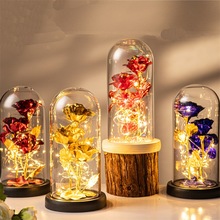 仿真三朵金箔花玫瑰花玻璃罩发光圣诞节情人节创意小夜灯摆件跨境